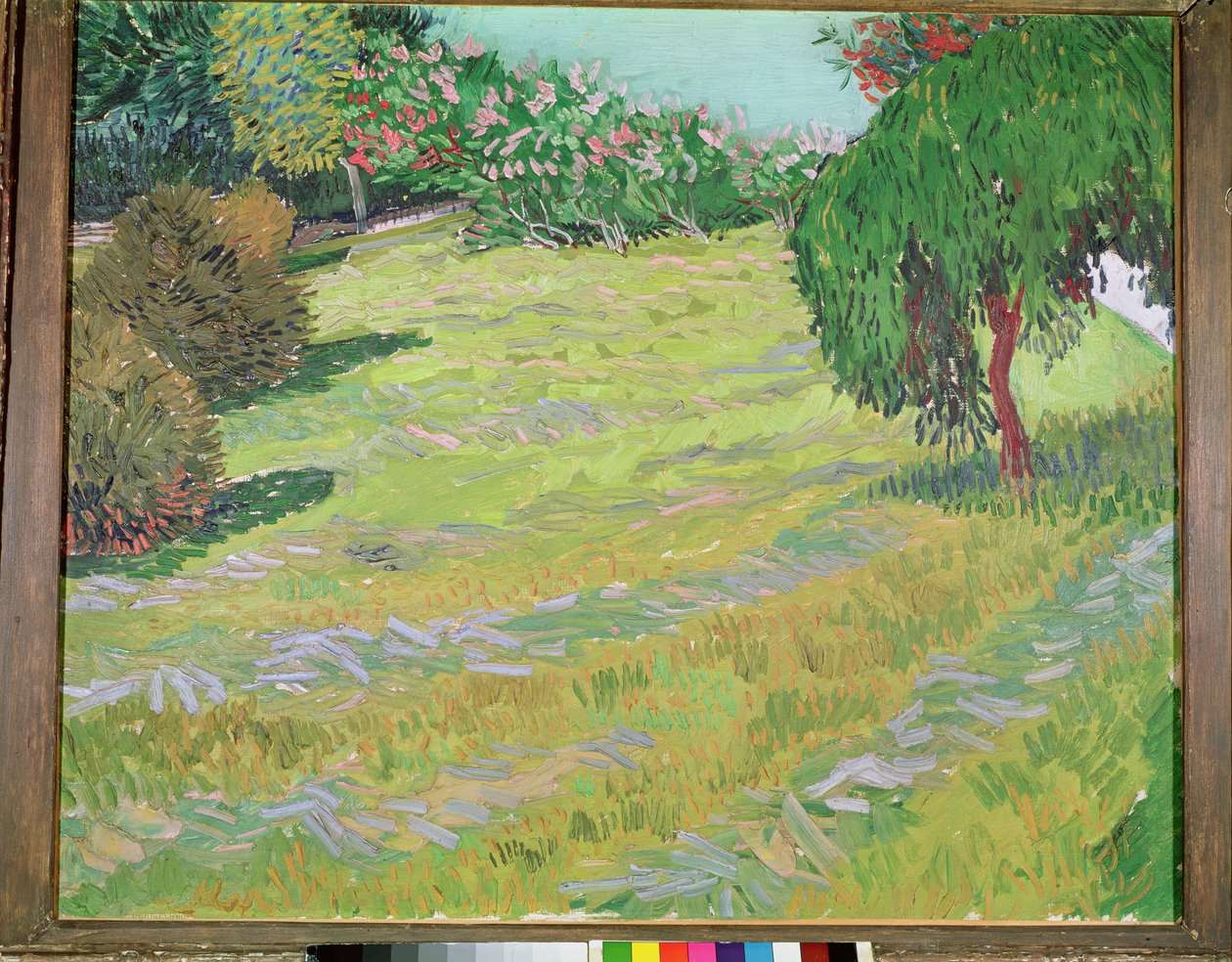 Campo con sauce llorón, 1888 de Vincent van Gogh