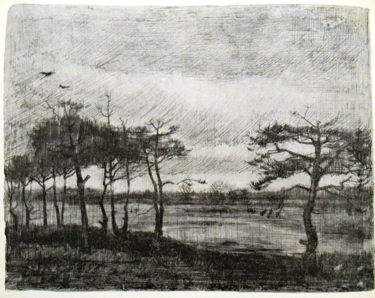 Abetos junto a un pantano de Vincent van Gogh