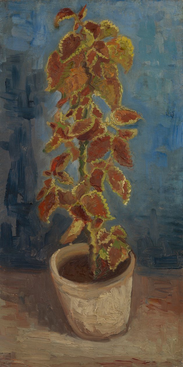 Ortiga de fuego en una maceta de Vincent van Gogh