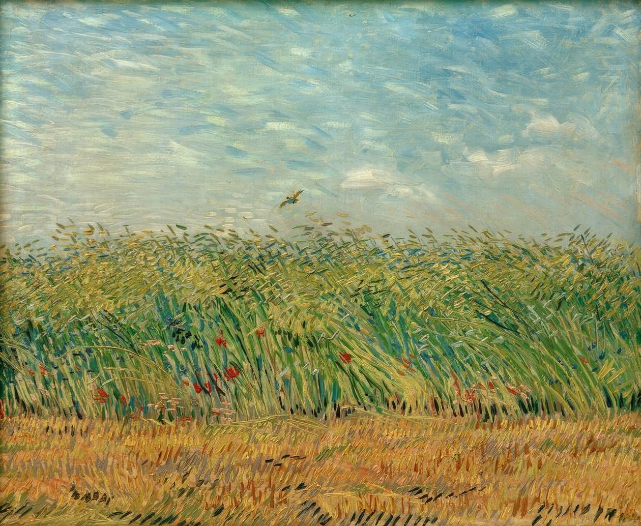 Campo de trigo con amapolas y perdiz de Vincent van Gogh