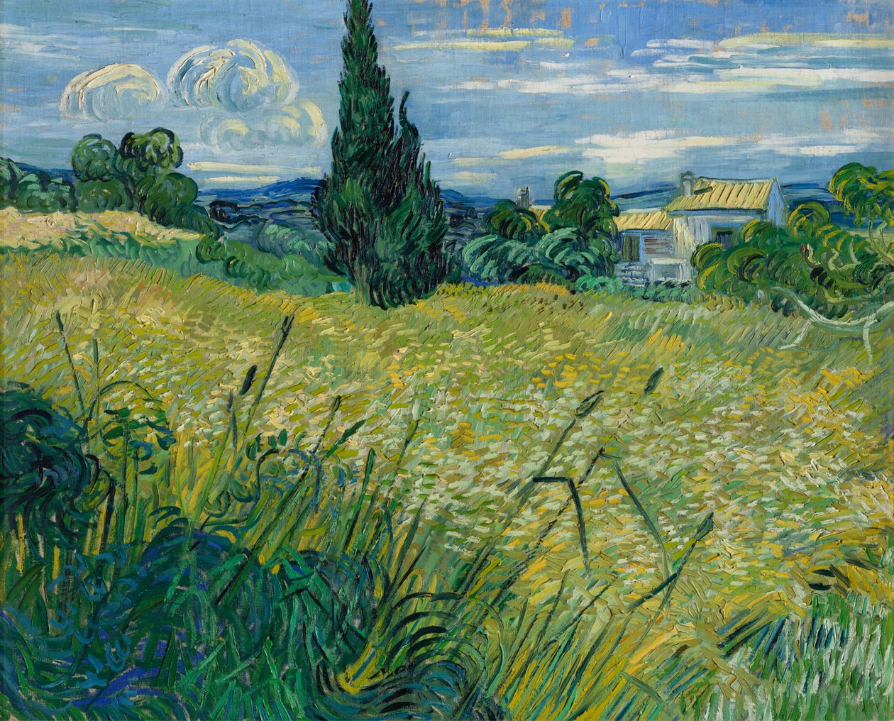 Trigo verde, 1889 de Vincent van Gogh