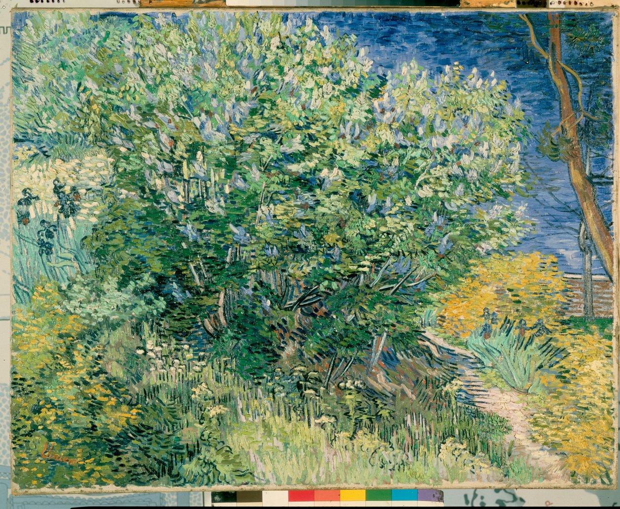 Arbusto de lilas de Vincent van Gogh