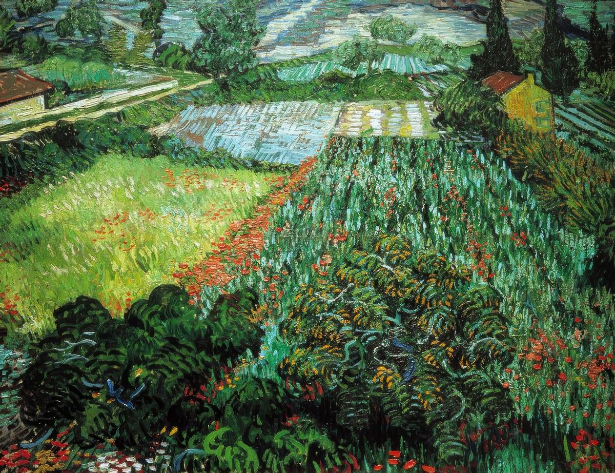 Campo de amapolas de Vincent van Gogh