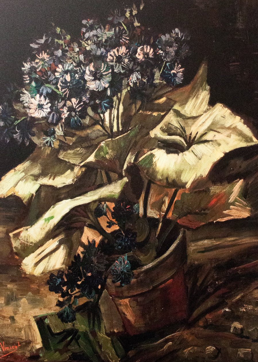 Mi sueño de Vincent van Gogh