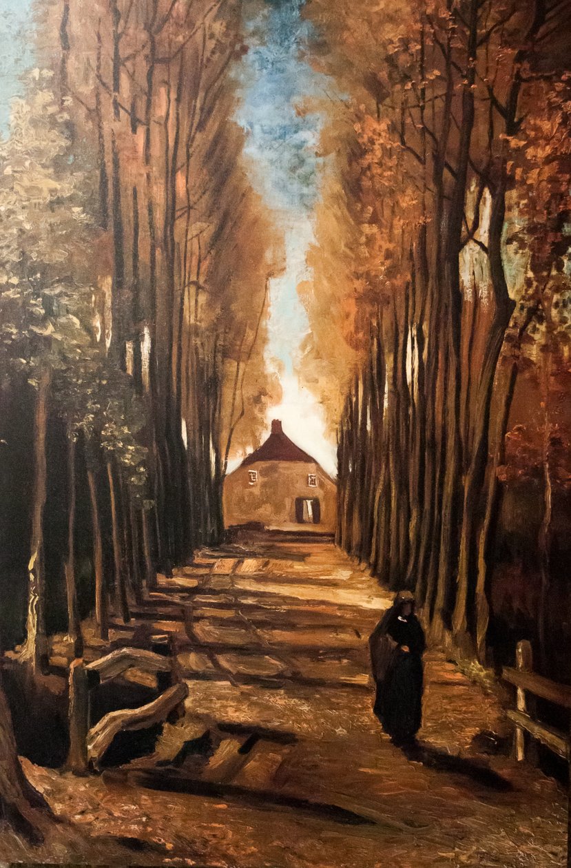 Mi sueño de Vincent van Gogh
