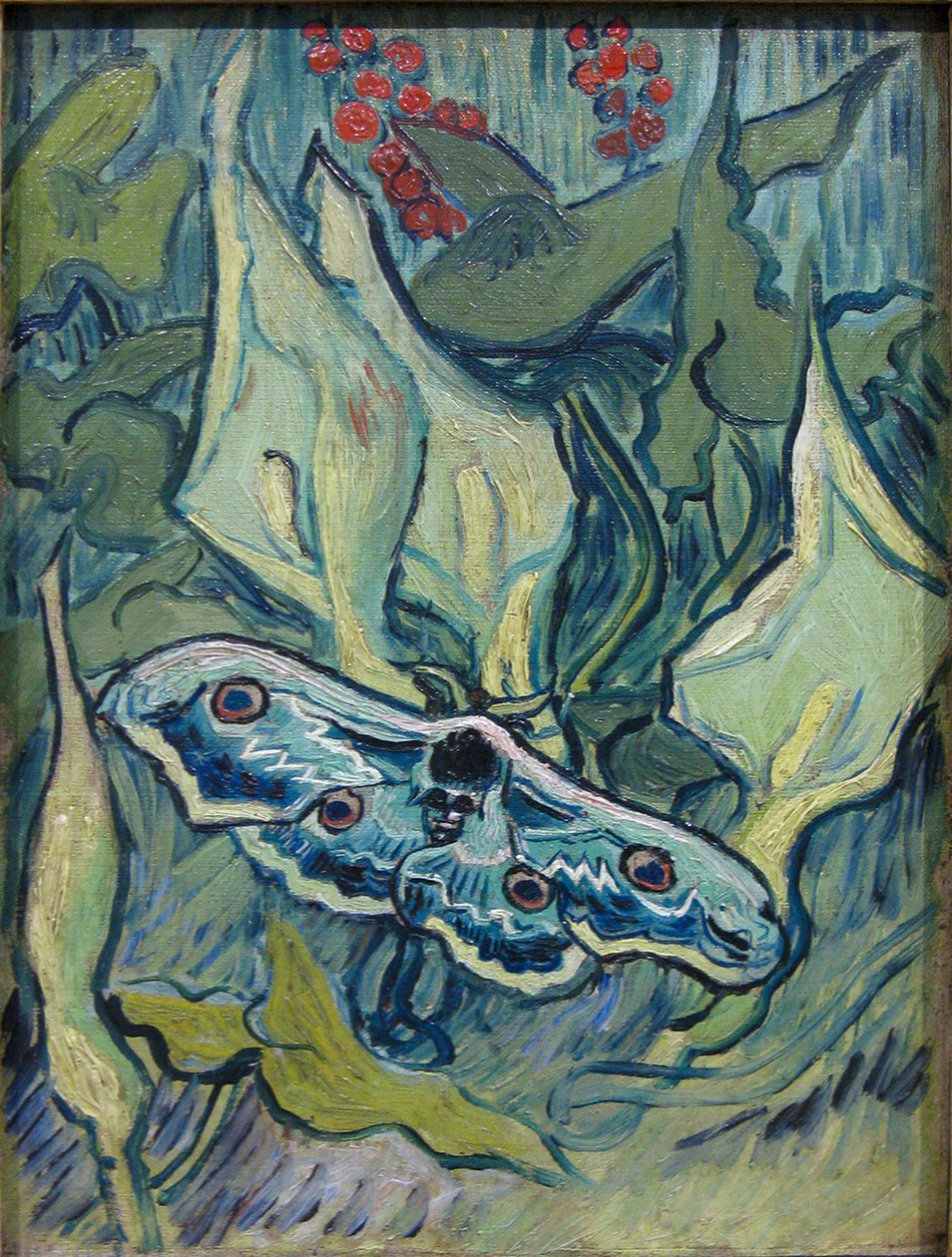 Polilla nocturna de Vincent van Gogh