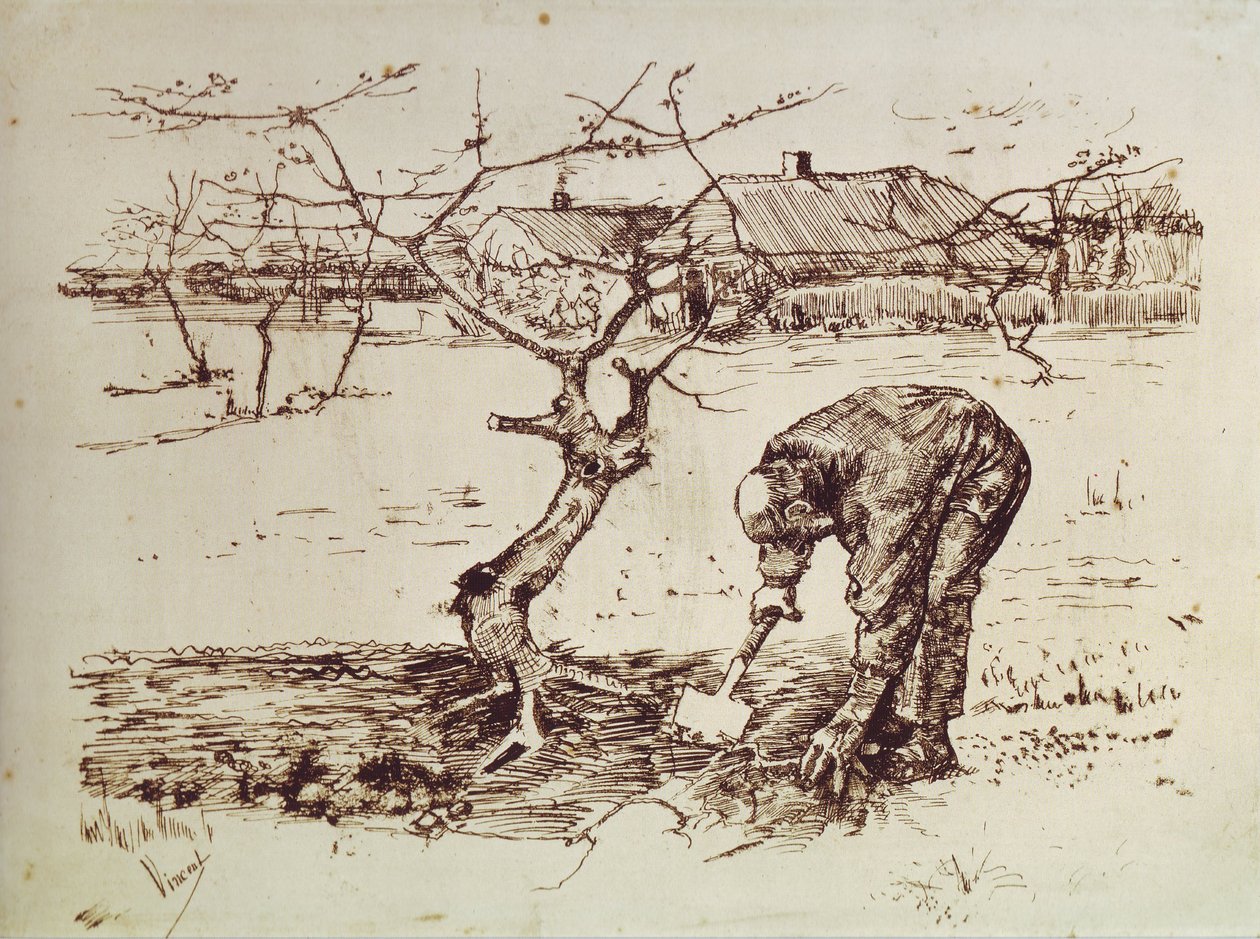 Anciana Vista desde Atrás de Vincent van Gogh