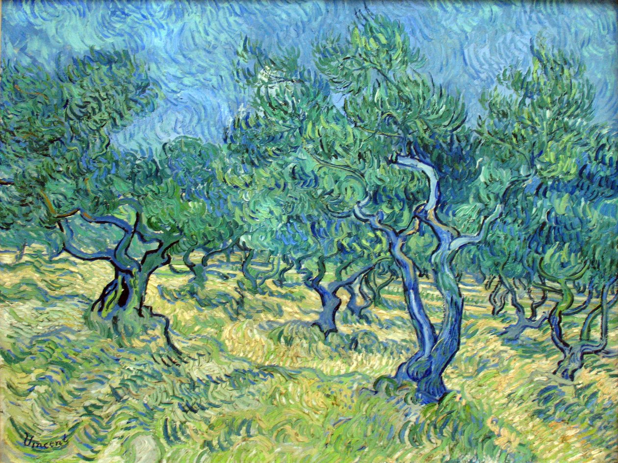Olivar de Vincent van Gogh