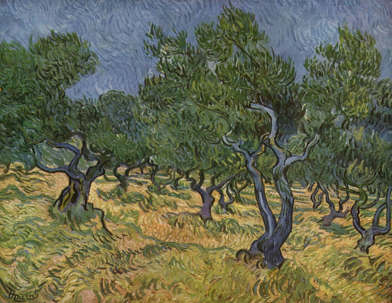 Olivar de Vincent van Gogh