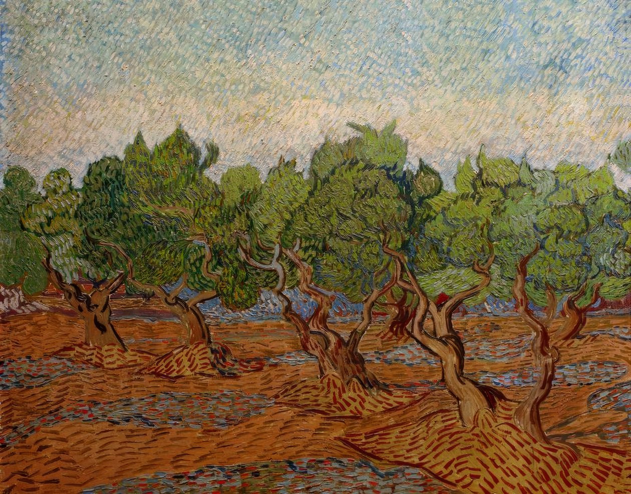Olivar de Vincent van Gogh