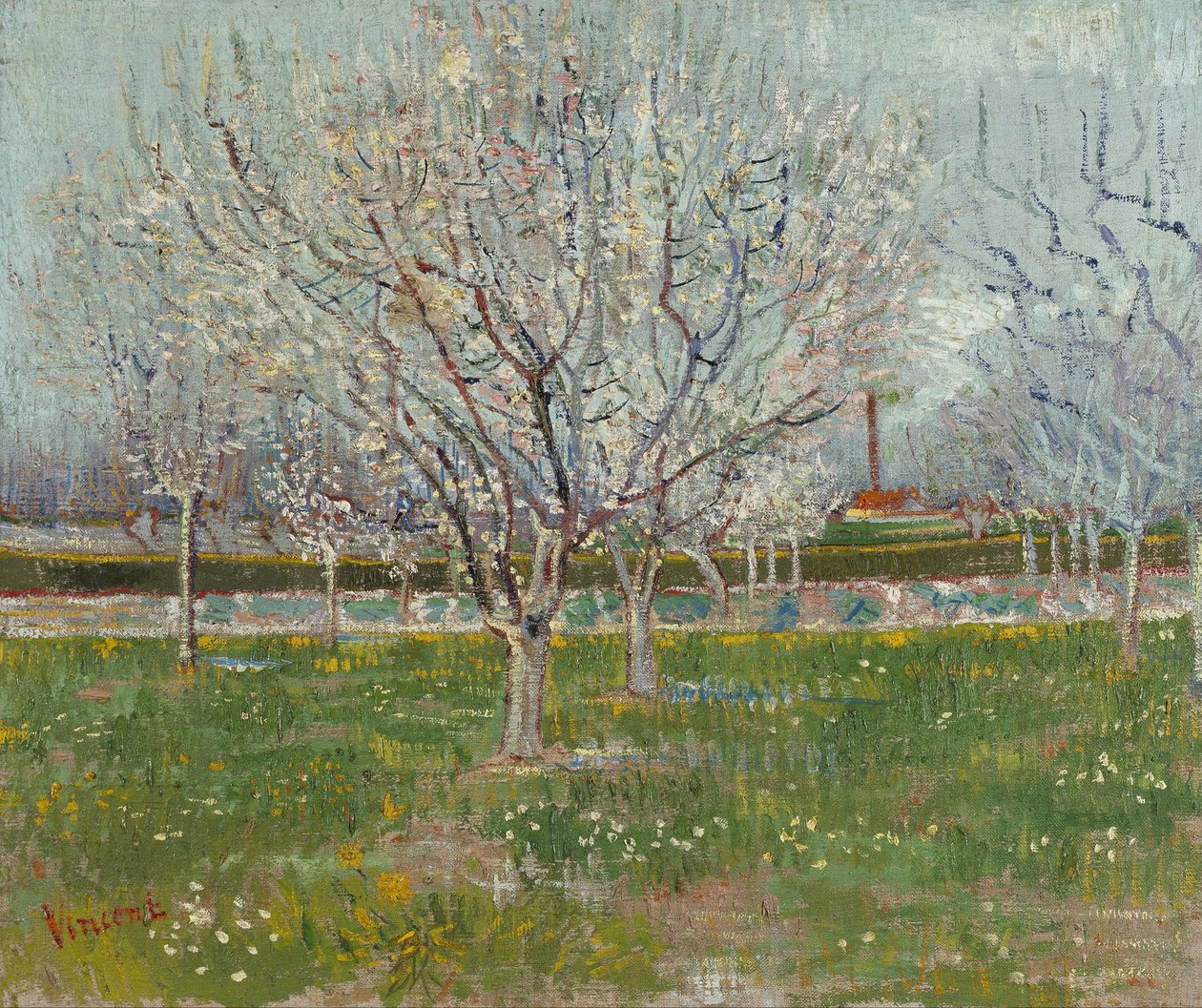 Huerto en flor (ciruelos) de Vincent van Gogh
