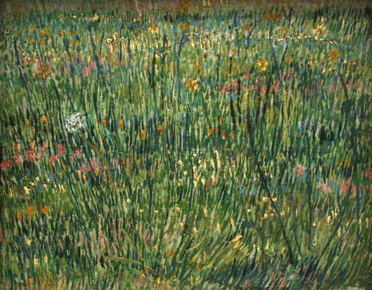 Parche de hierba de Vincent van Gogh