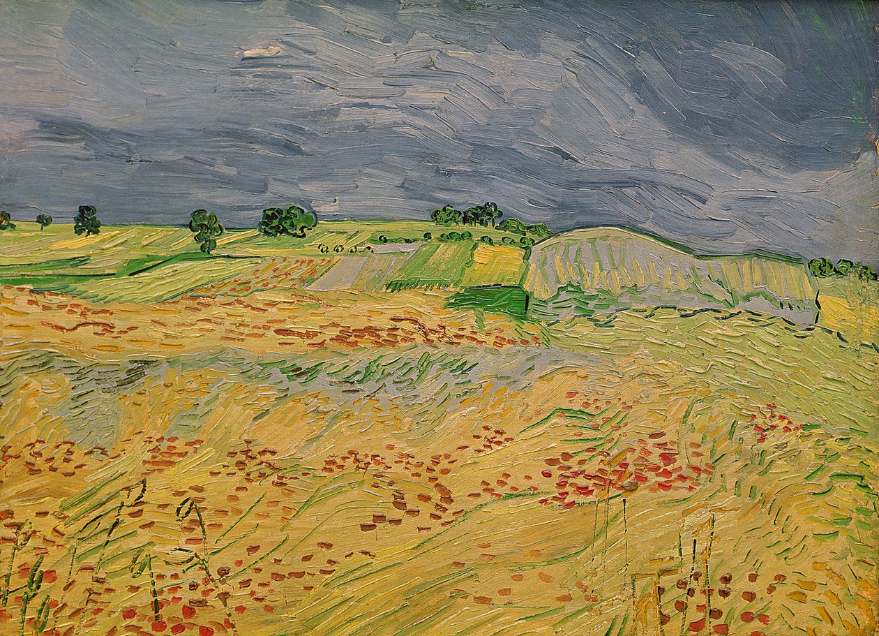 Llanura en Auvers, 1890 de Vincent van Gogh