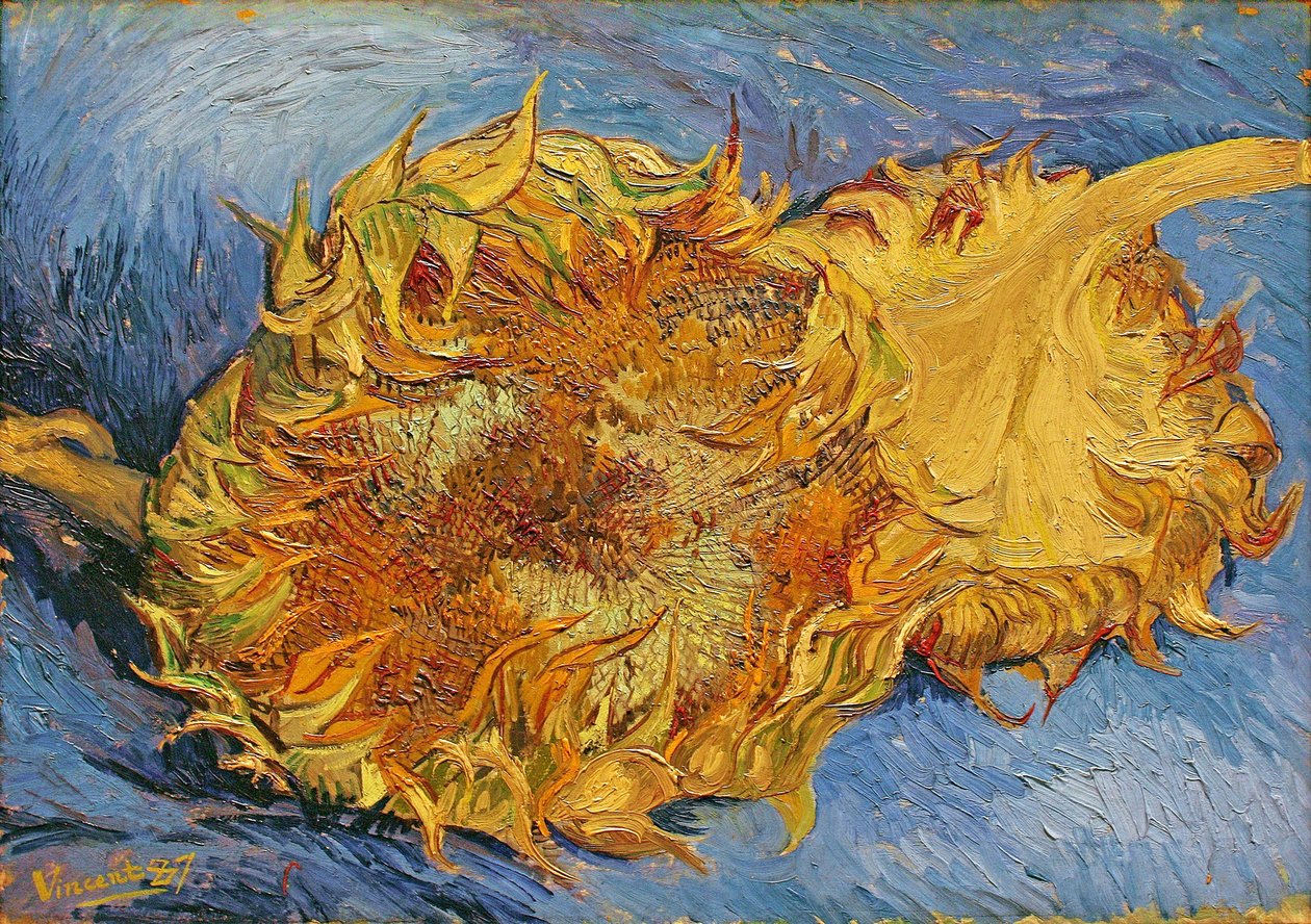 Dos girasoles cortados de Vincent van Gogh