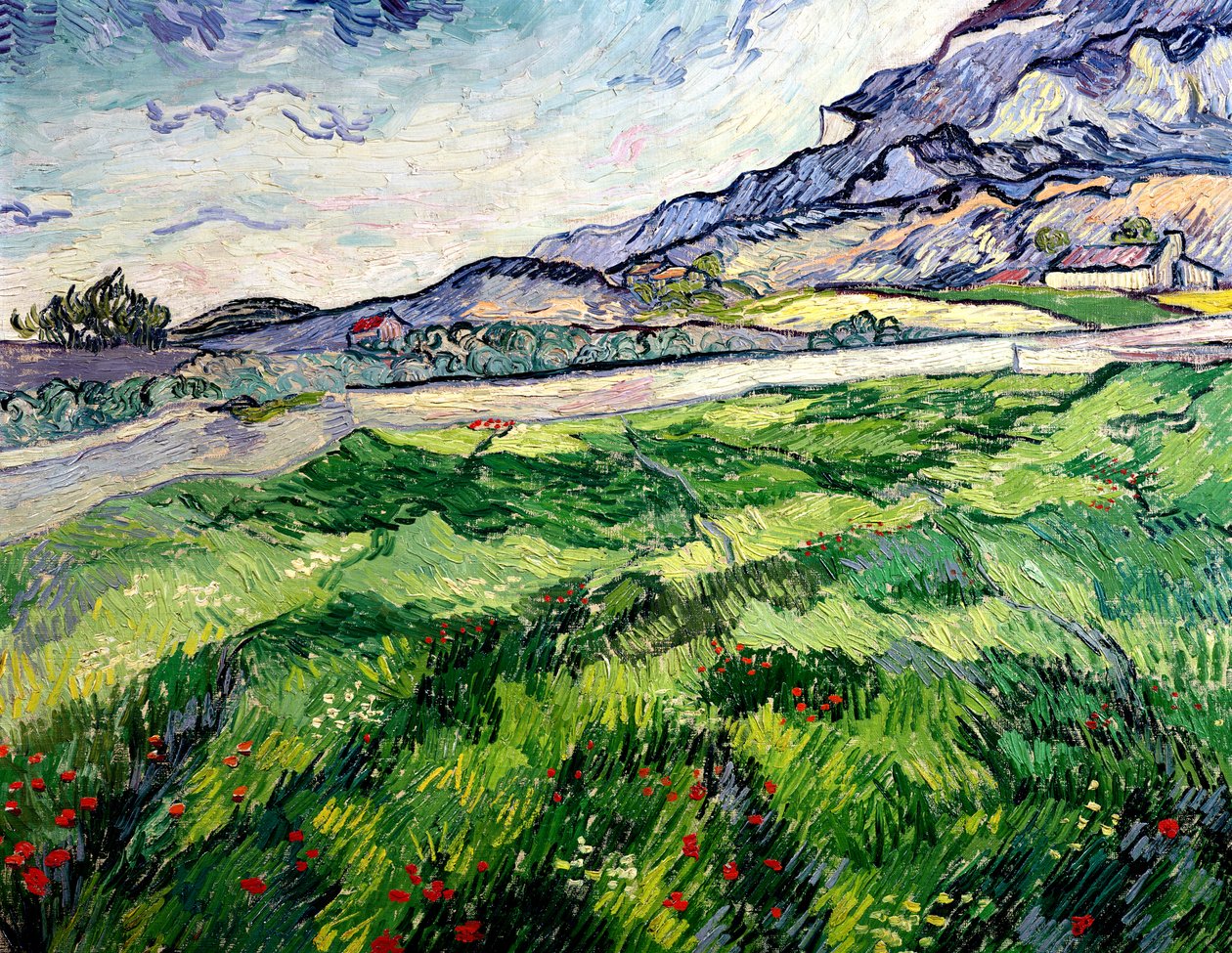 El campo de trigo verde detrás del asilo, 1889 de Vincent van Gogh