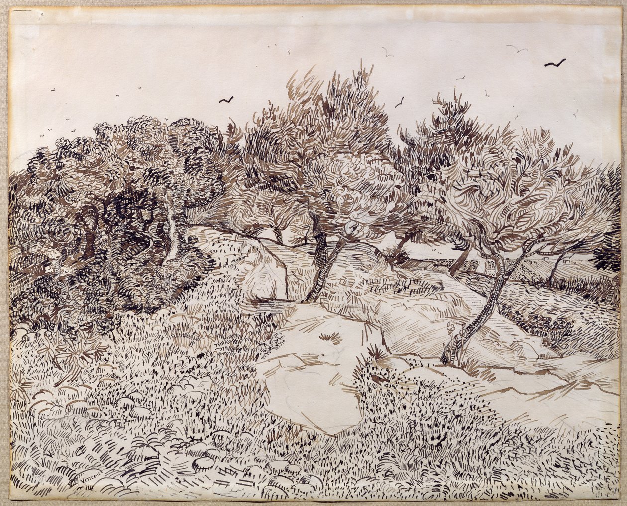 Los olivos de Vincent van Gogh