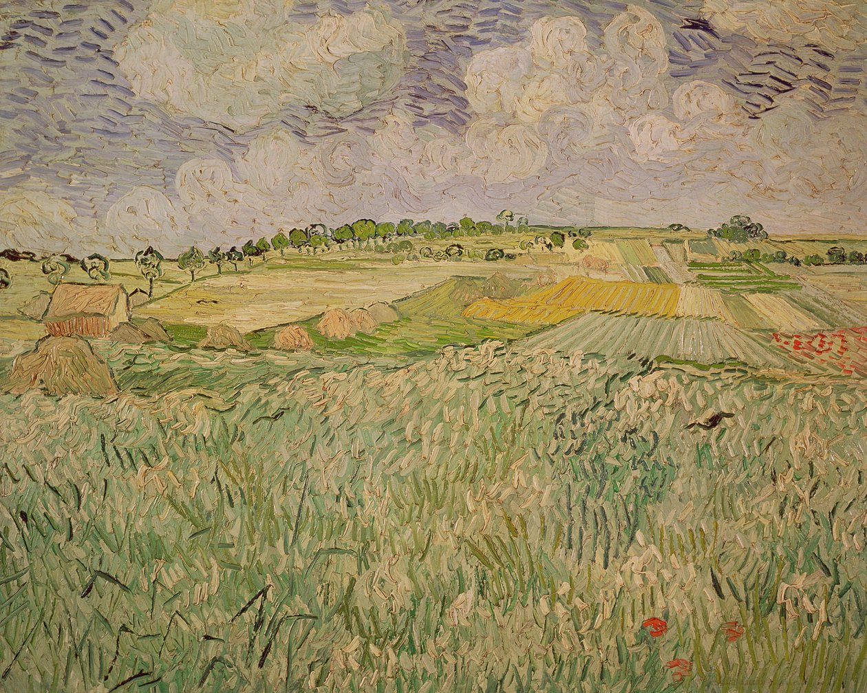 La llanura en Auvers, 1890 de Vincent van Gogh
