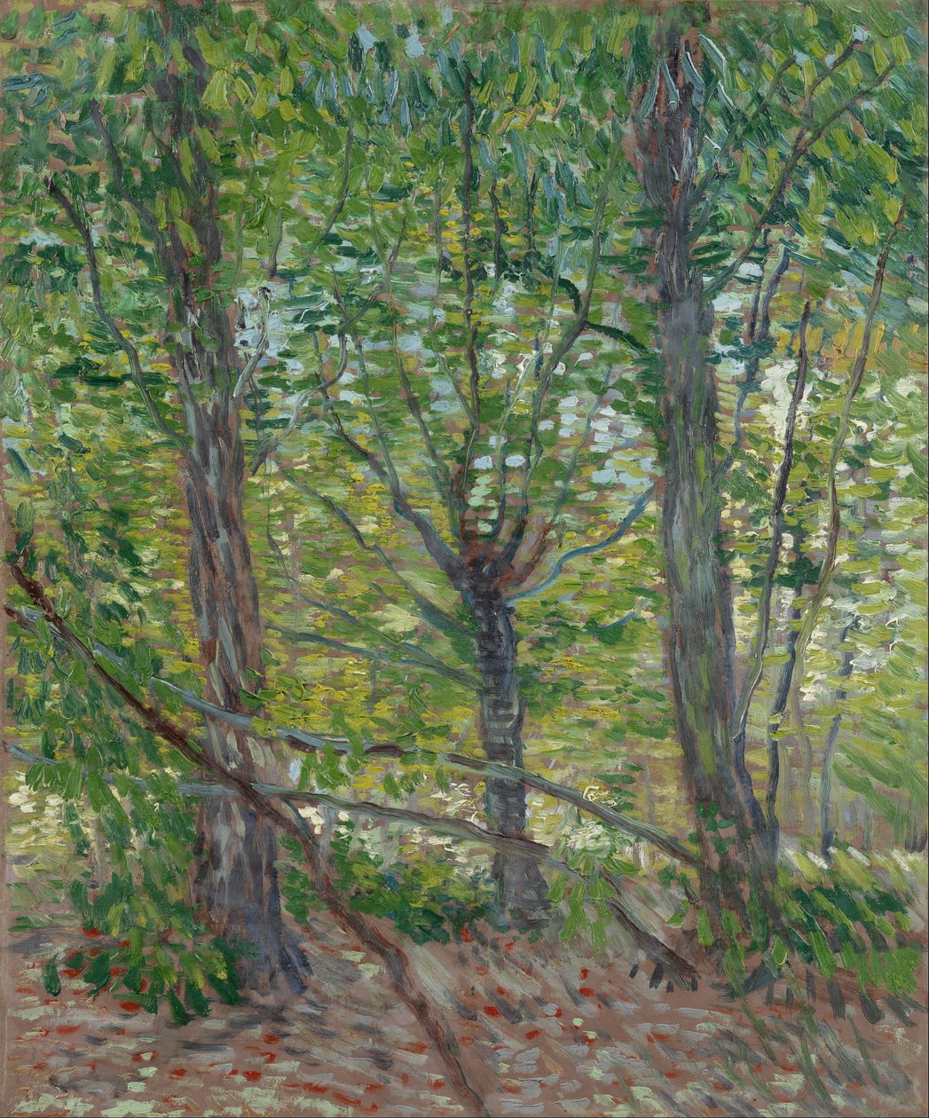 Árboles de Vincent van Gogh
