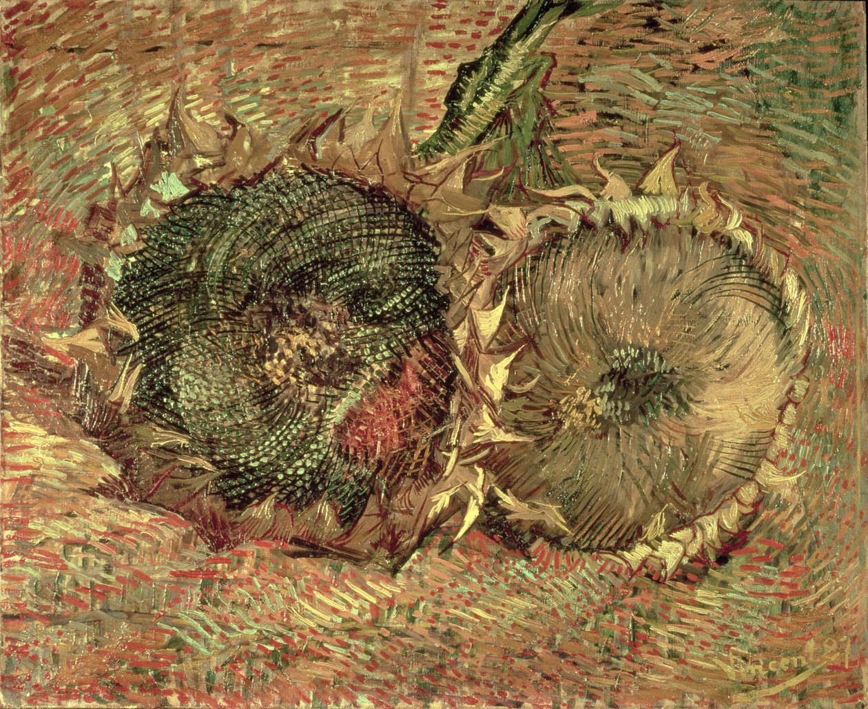 Dos Girasoles Cortados, 1887 de Vincent van Gogh