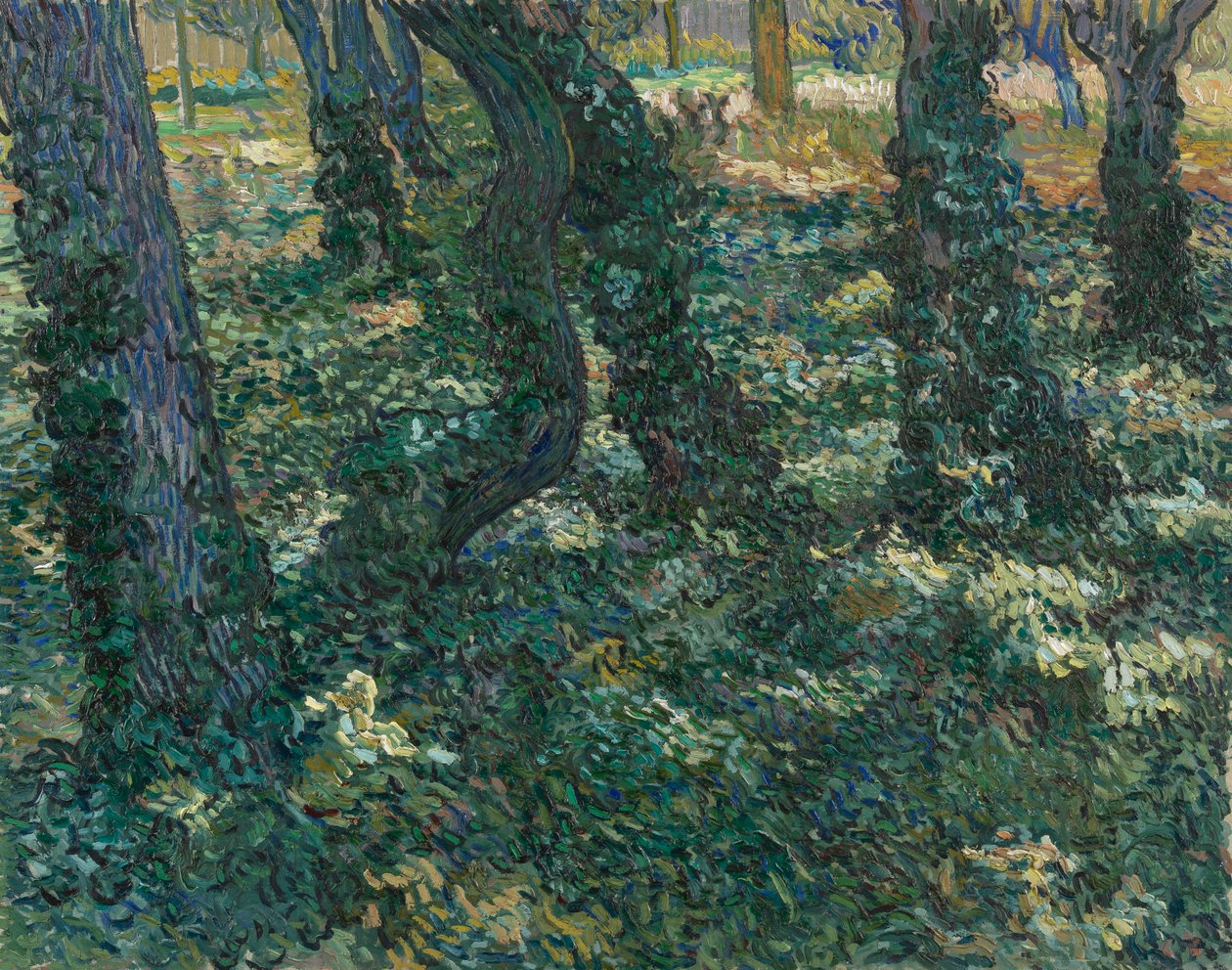 Sotobosque de Vincent van Gogh