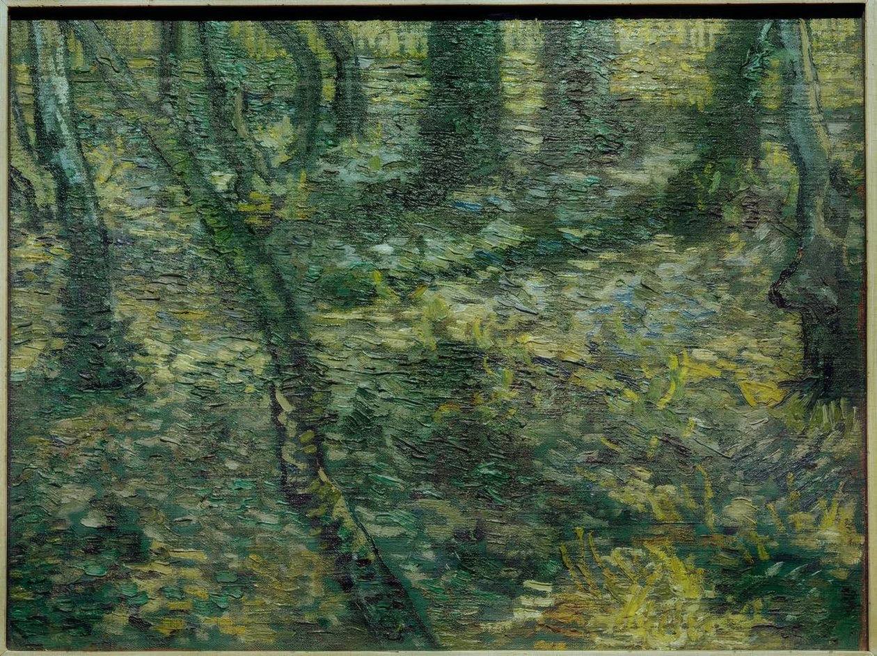 Maleza con hiedra de Vincent van Gogh