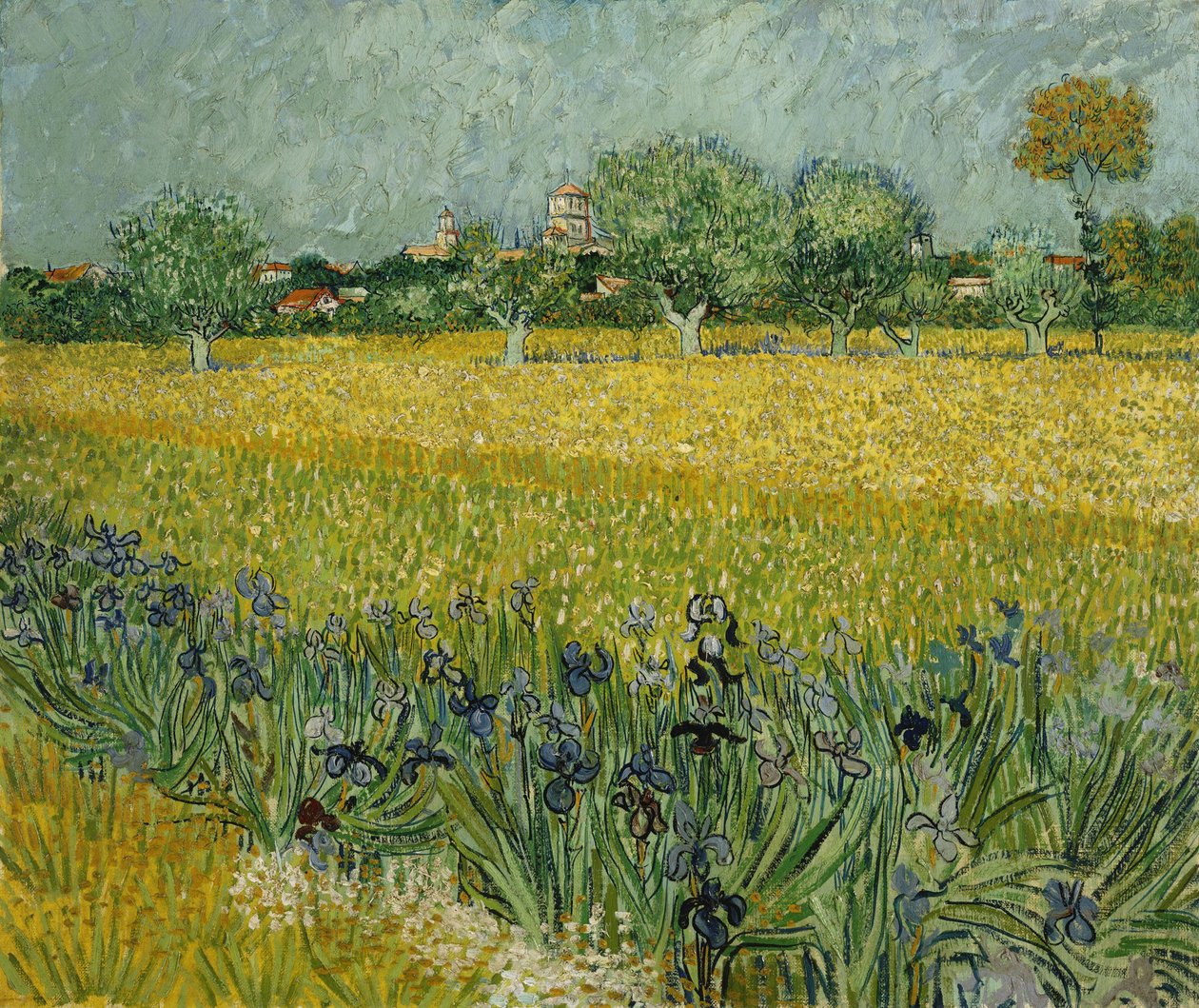 Campo con flores cerca de Arles de Vincent van Gogh
