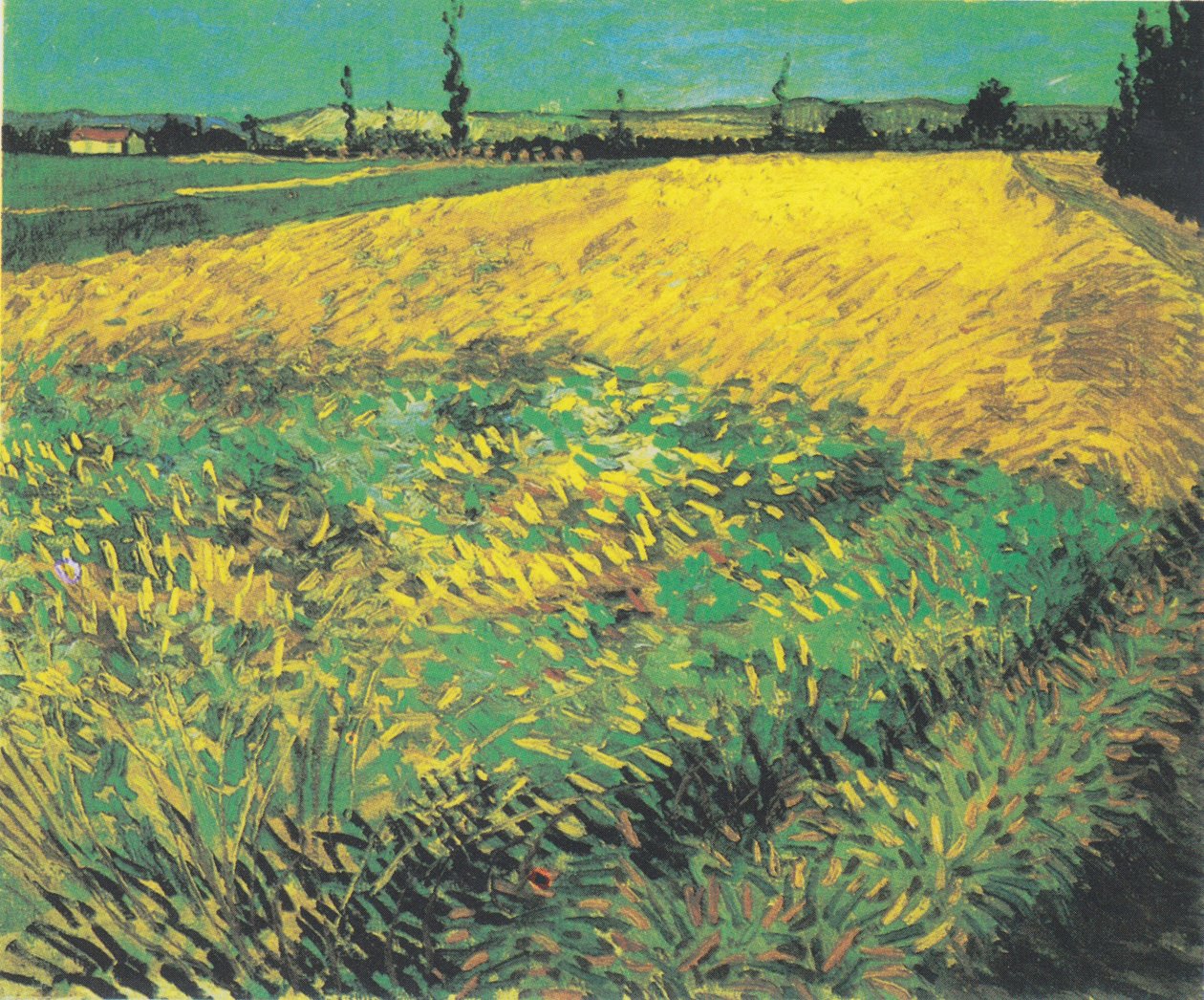 Campo de trigo con colinas de Alpilles al fondo de Vincent van Gogh