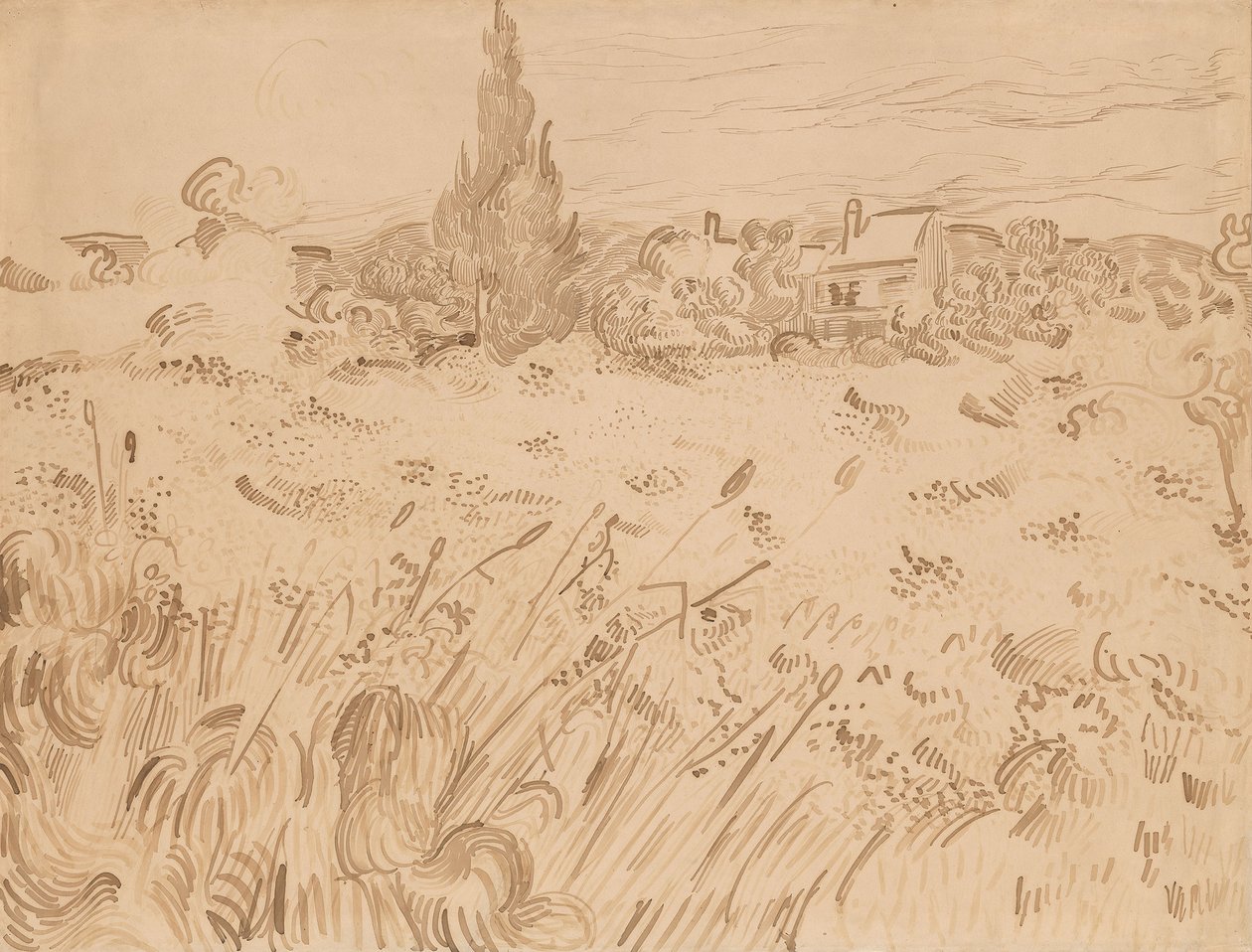 Campo de trigo, Saint-Rémy de Provence de Vincent van Gogh