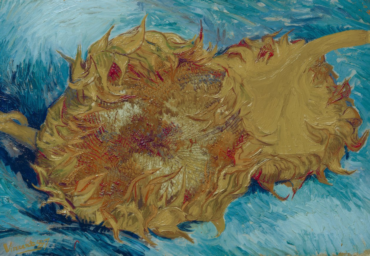 Dos girasoles cortados de Vincent van Gogh