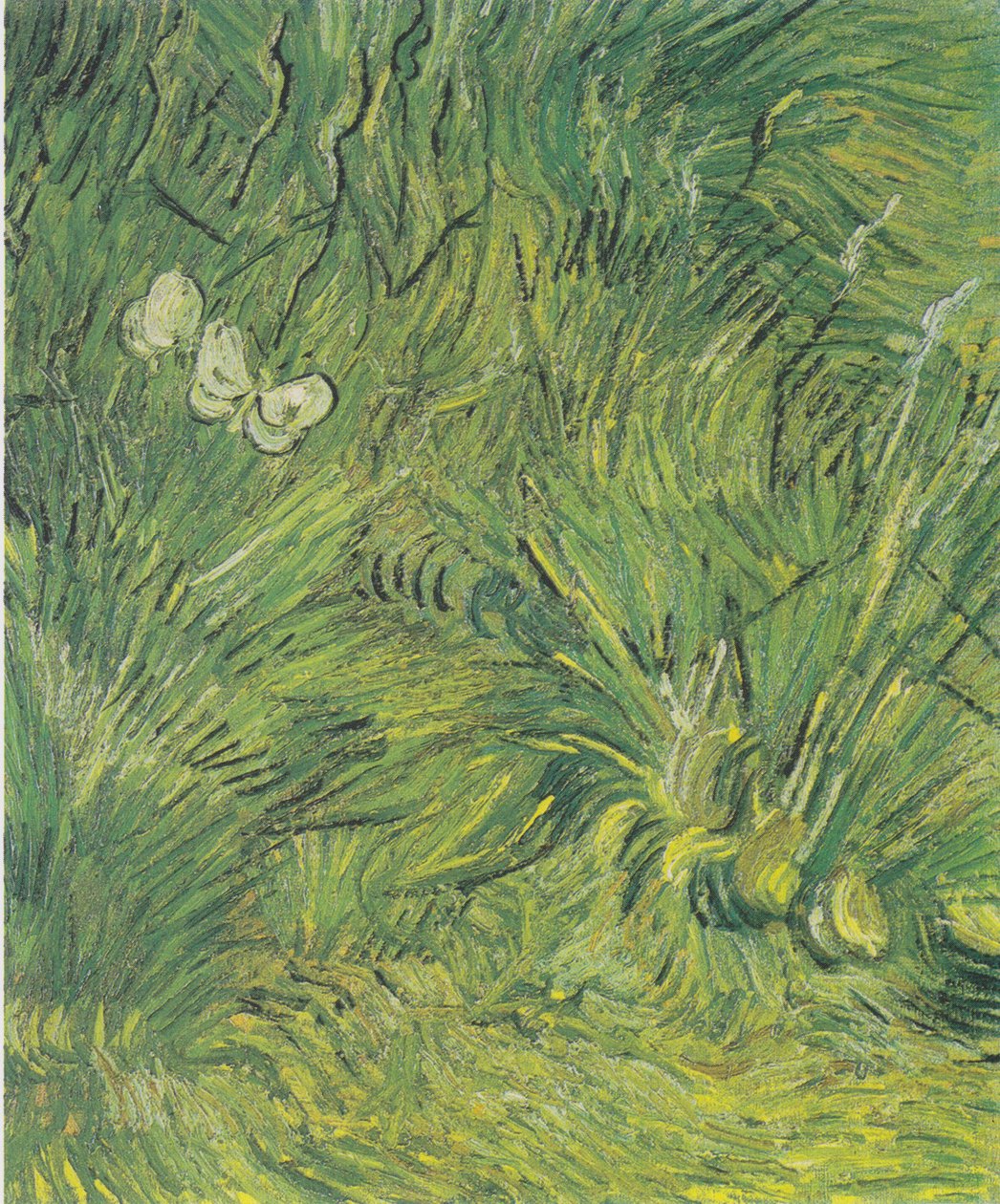 Dos mariposas blancas de Vincent van Gogh