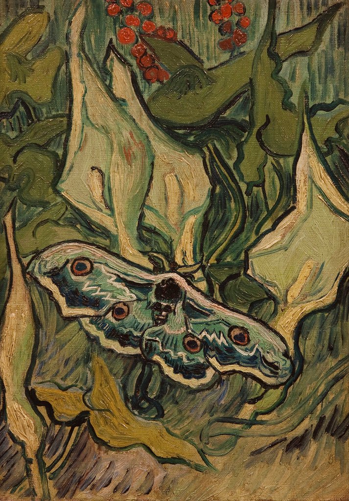 efraa de Vincent van Gogh