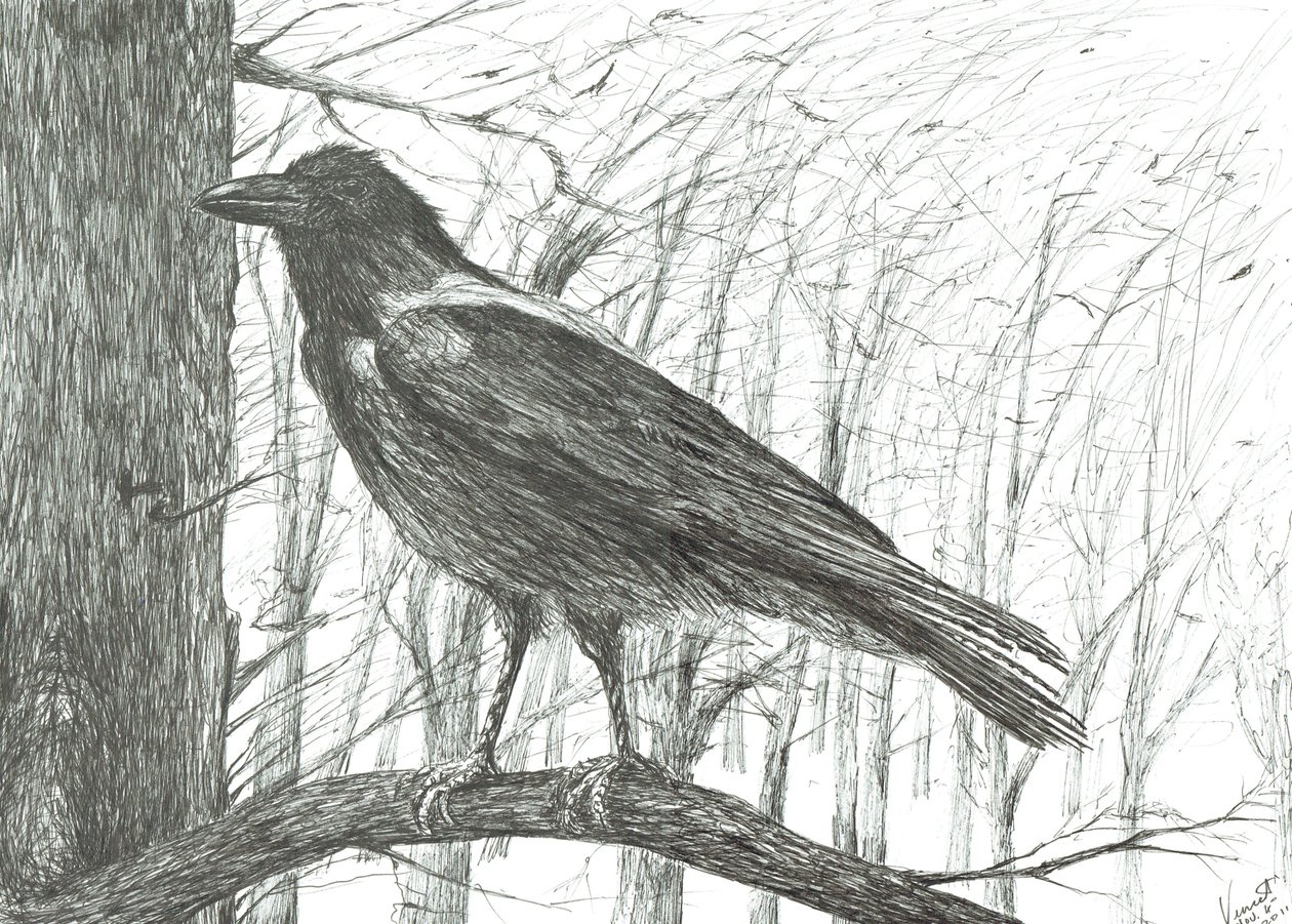 Pájaro, 2011 de Vincent Alexander Booth