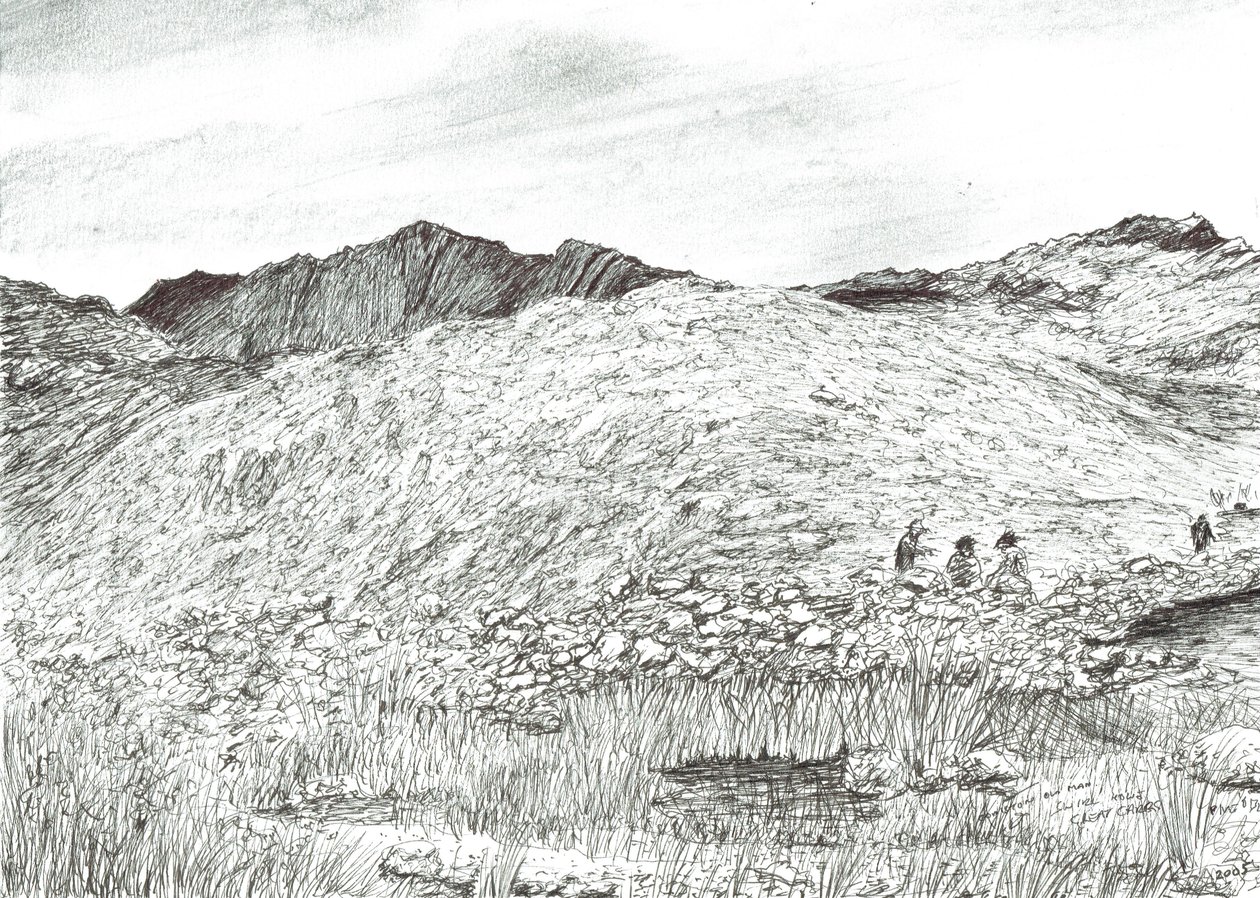 Anciano de Coniston, 2005 de Vincent Alexander Booth