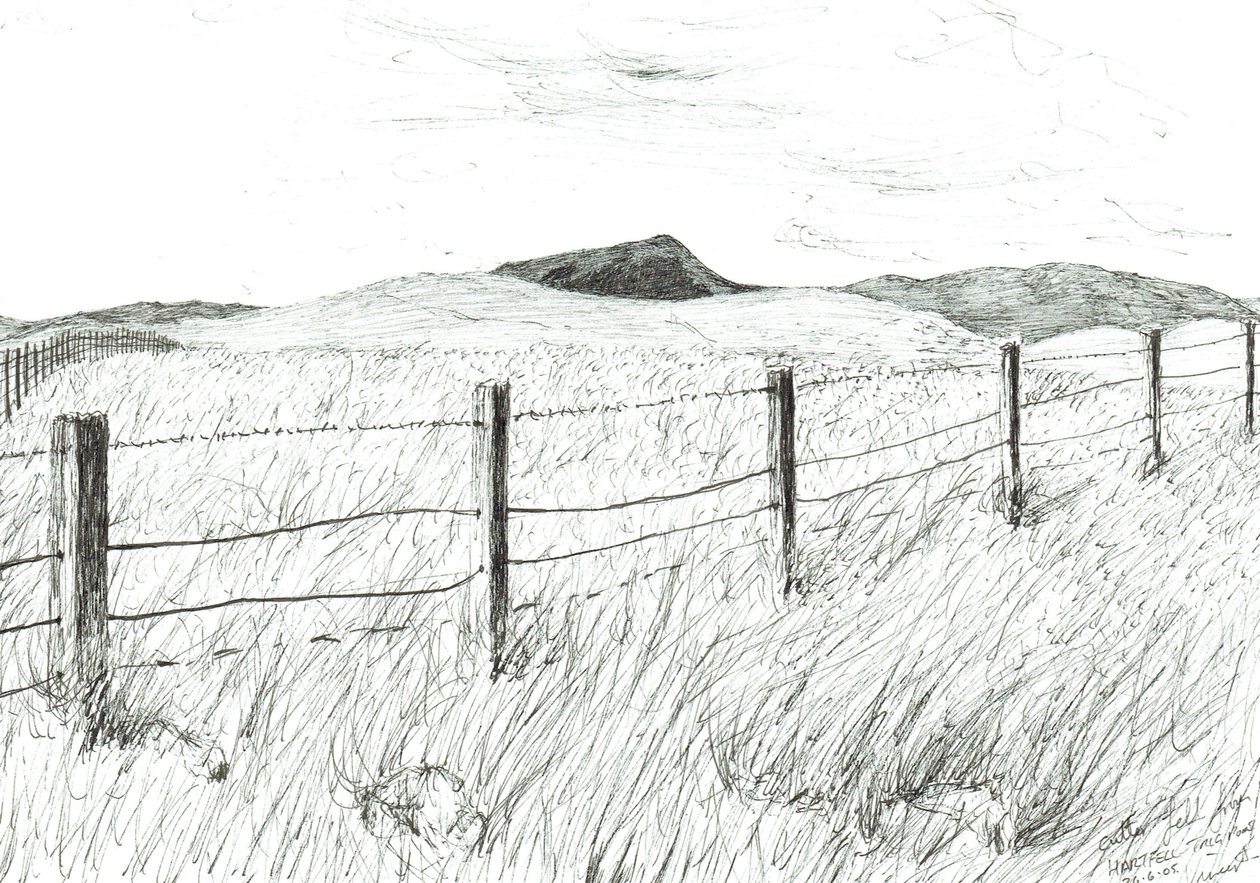 Culter Fell desde Hartfell, 2005 de Vincent Alexander Booth