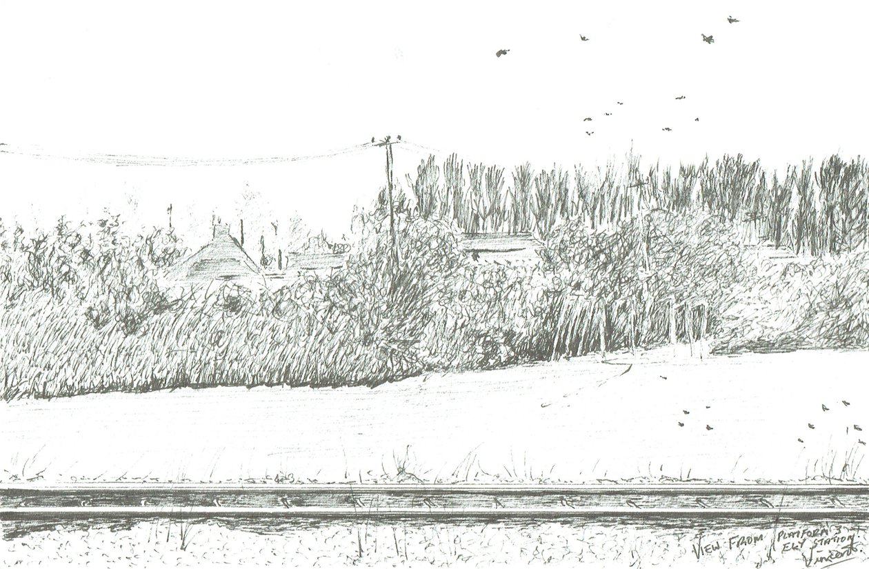 Vista de la estación de Ely desde la plataforma 3, 2005 de Vincent Alexander Booth