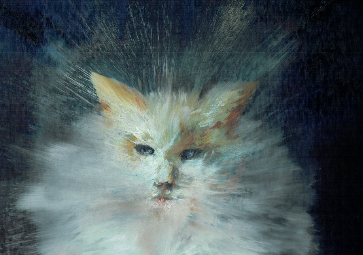 Monty fluffball, 2015 de Vincent Alexander Booth