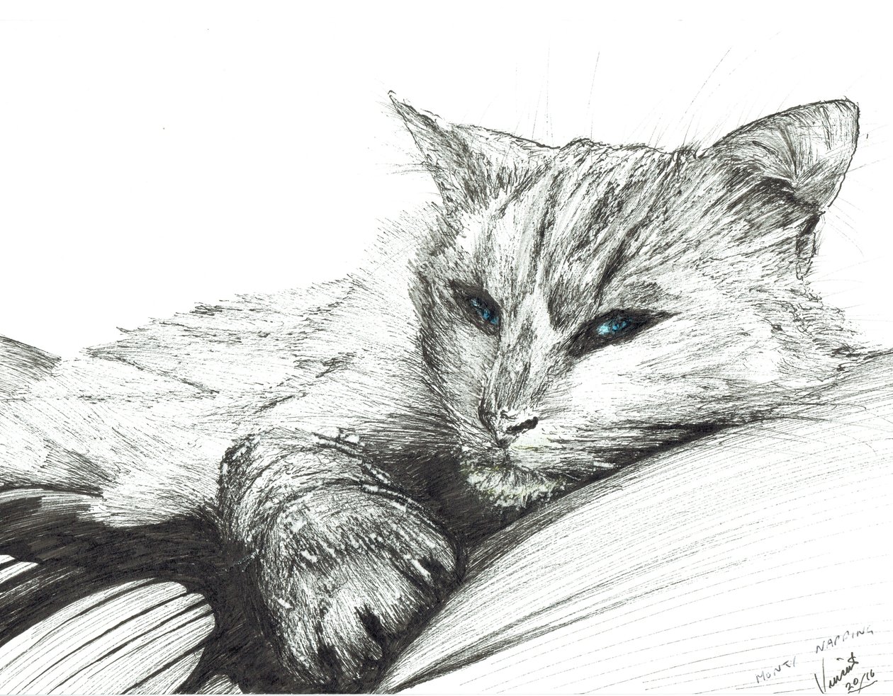 Monty, durmiendo, 2016 de Vincent Alexander Booth