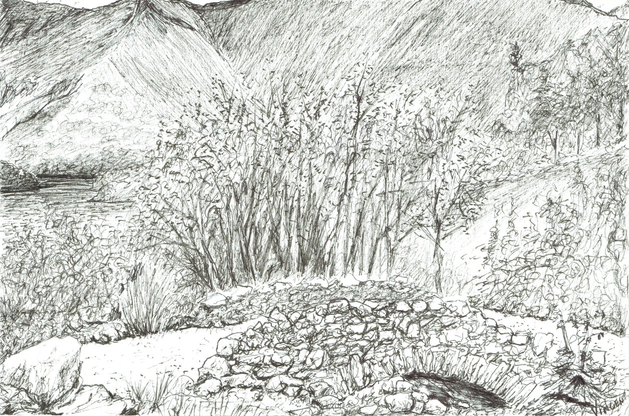 Antiguo puente de piedra en la región de los lagos, 2005 de Vincent Alexander Booth