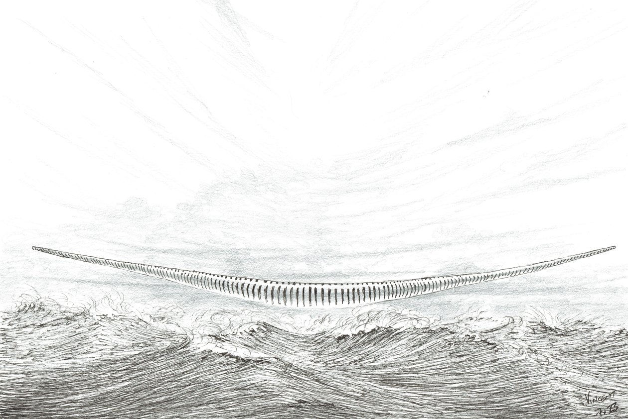 Creadores de tormentas Cabo Leveque, 2023 de Vincent Alexander Booth
