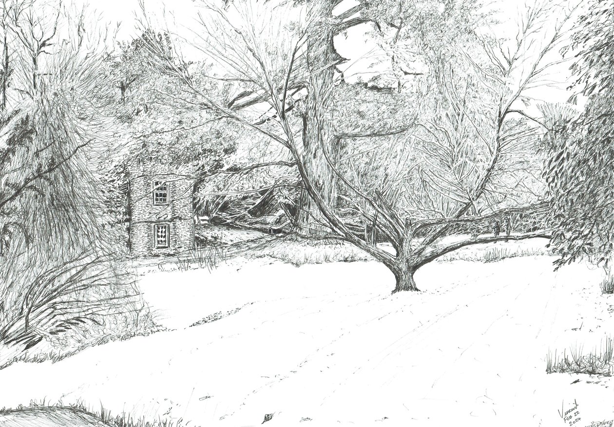 El árbol del pañuelo en los jardines de Monk Coniston, 2024 (tinta sobre papel) de Vincent Alexander Booth