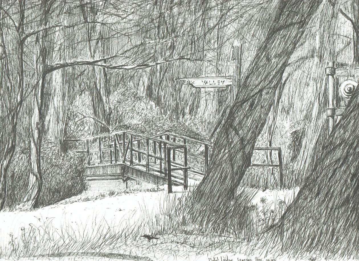 El viejo puente de metal, parque Bramhall, 2004 de Vincent Alexander Booth