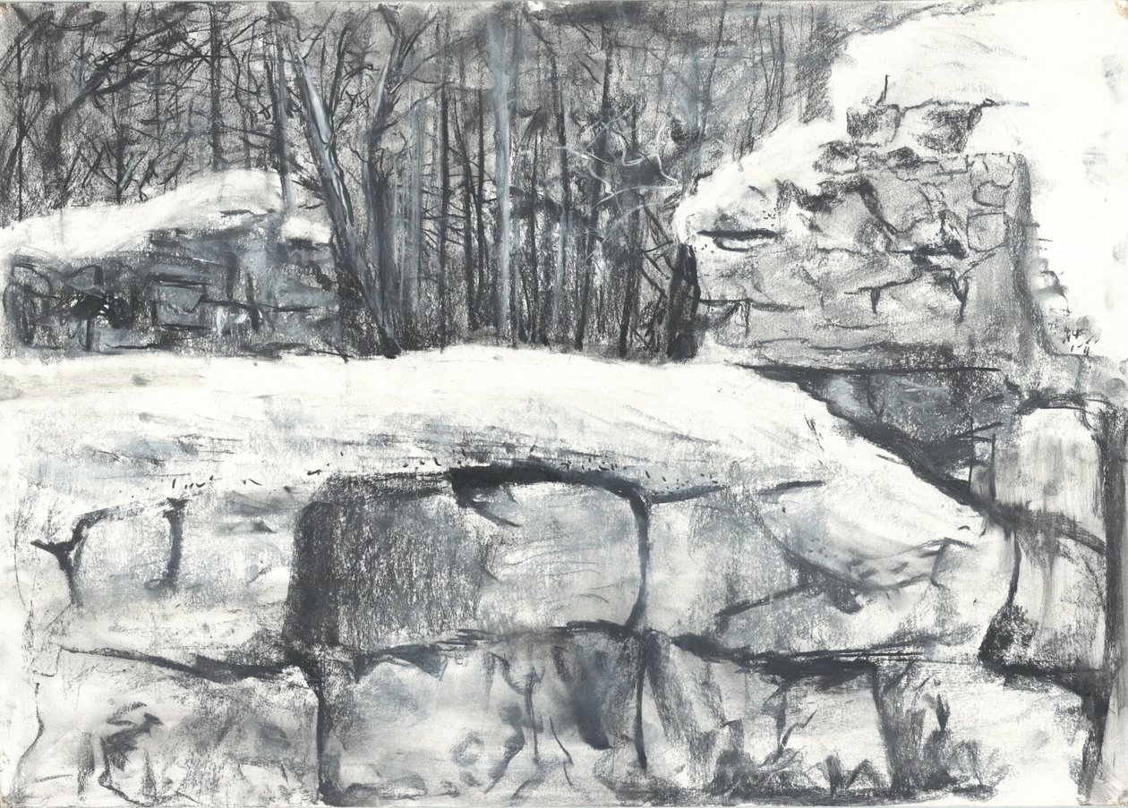 Muro en el bosque Osmotherley de Vincent Alexander Booth