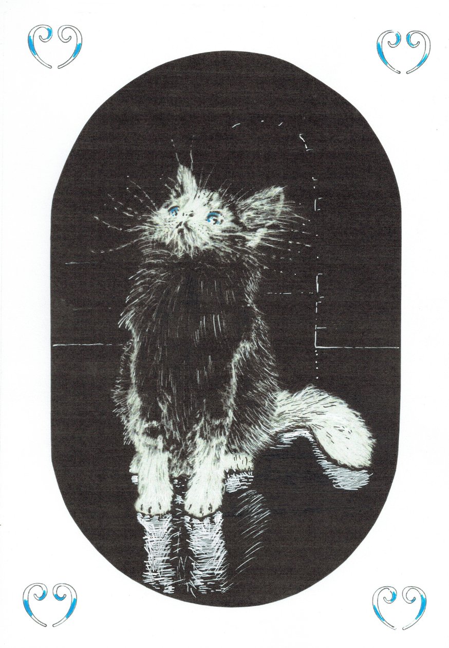 página 1, El castillo en el bosque de Findhorn, 2006 de Vincent Alexander Booth