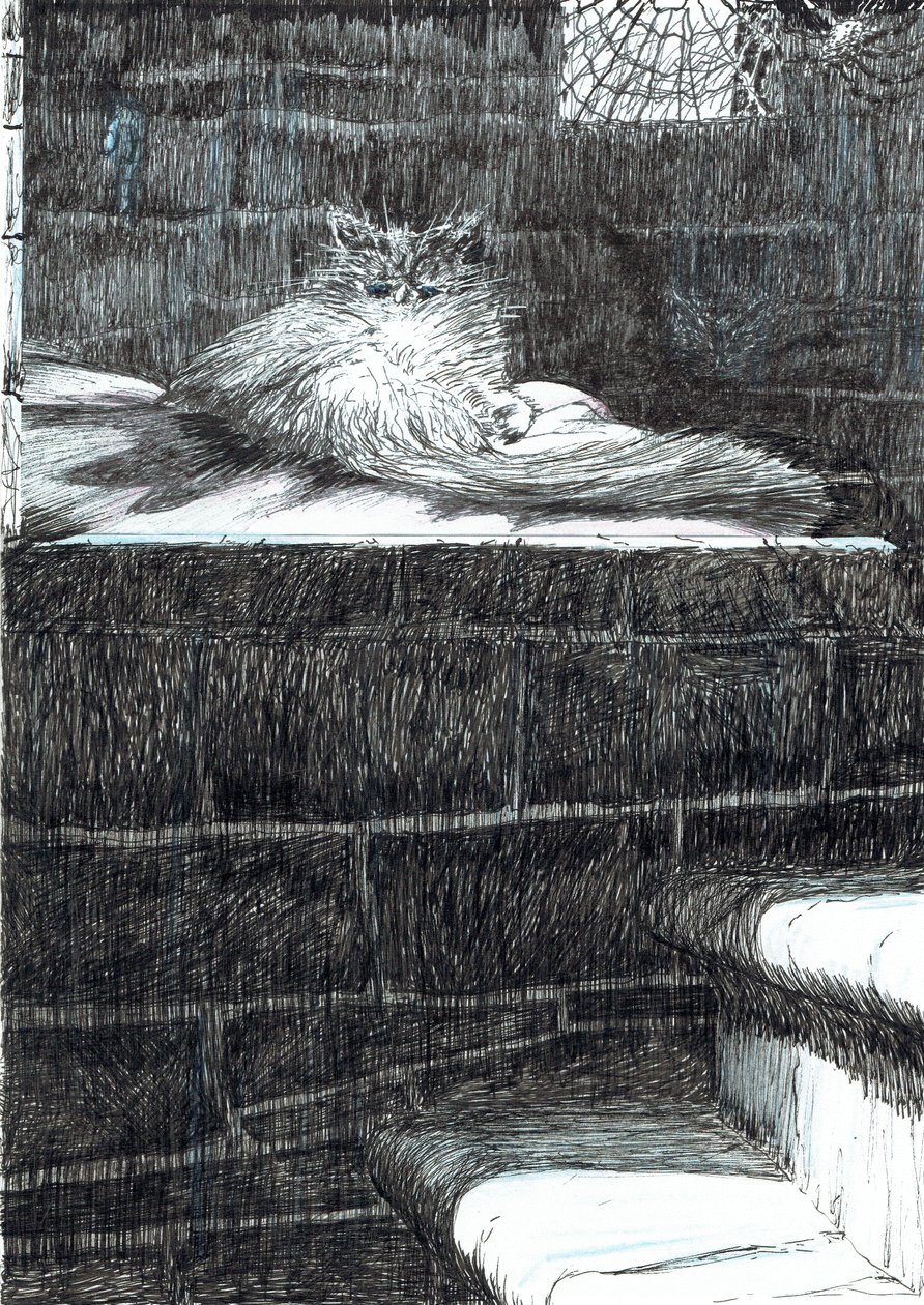 página 21, El castillo en el bosque de Findhorn, 2006 de Vincent Alexander Booth