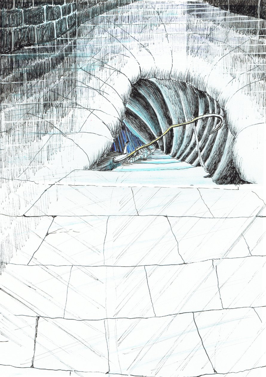 página 45, El castillo en el bosque de Findhorn, 2006 de Vincent Alexander Booth