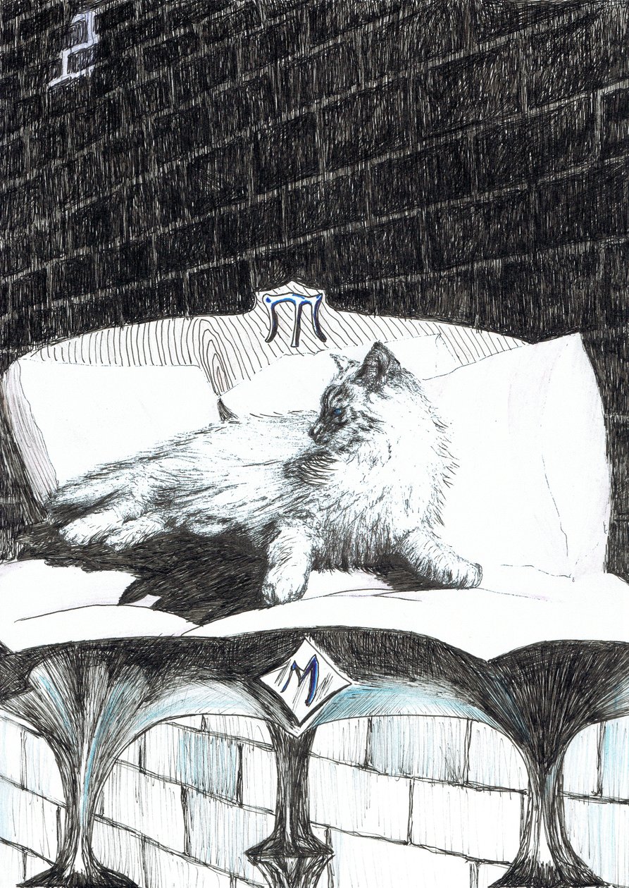 página 52, El castillo en el bosque de Findhorn, 2006 de Vincent Alexander Booth