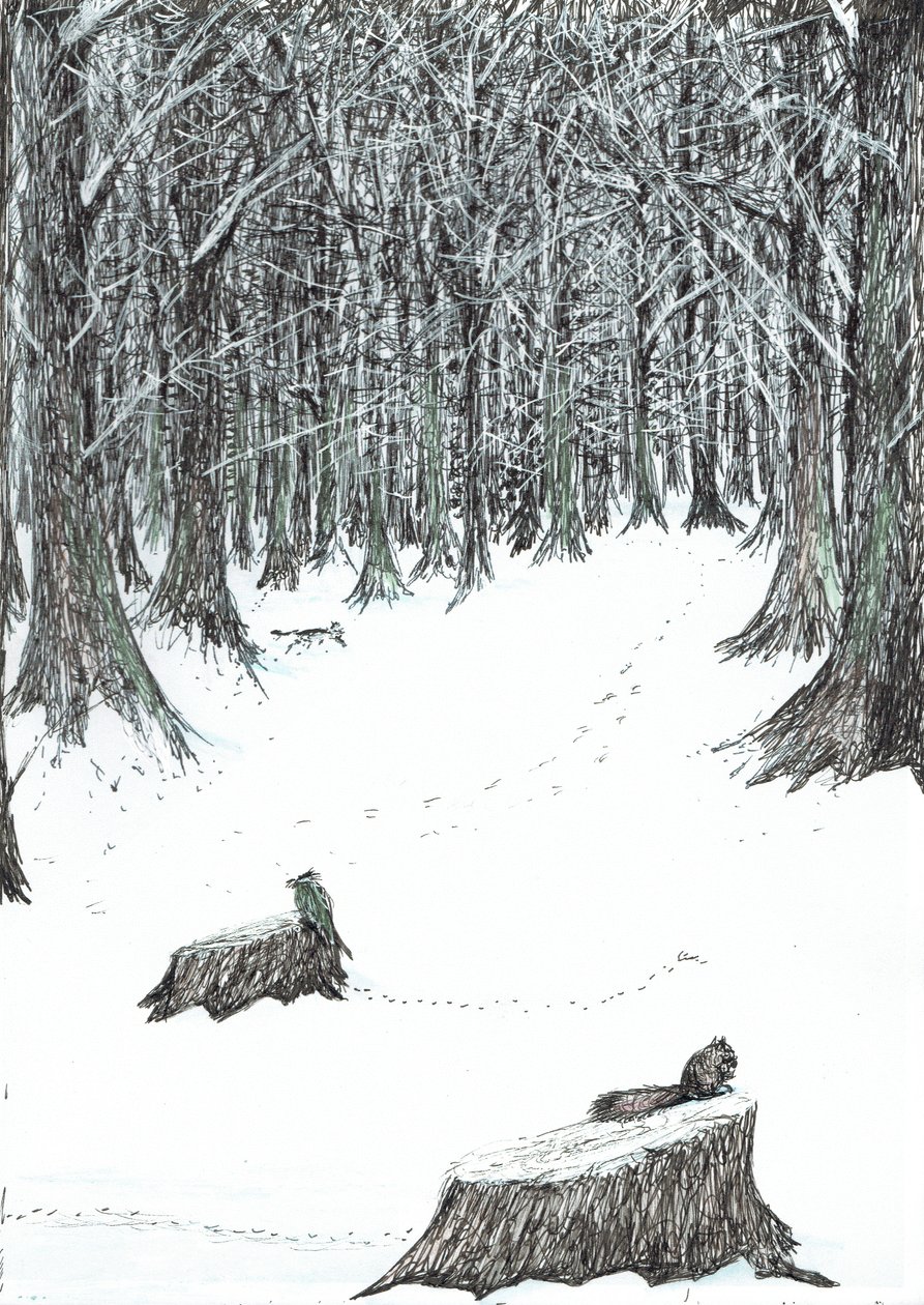 página 5, El castillo en el bosque de Findhorn, 2006 de Vincent Alexander Booth