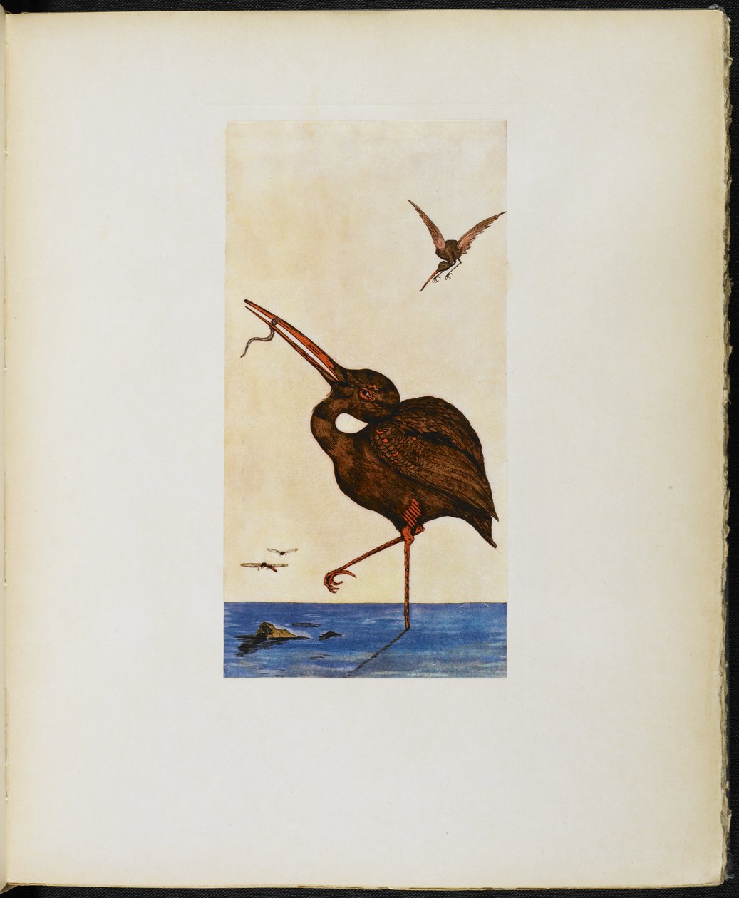 The Brown Willy, de "The Google Book" de Vincent Cartwright Vickers de Vincent Cartwright Vickers