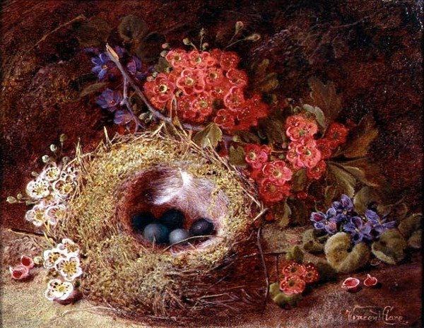 Naturaleza muerta de un nido de pájaro y flor de Vincent Clare