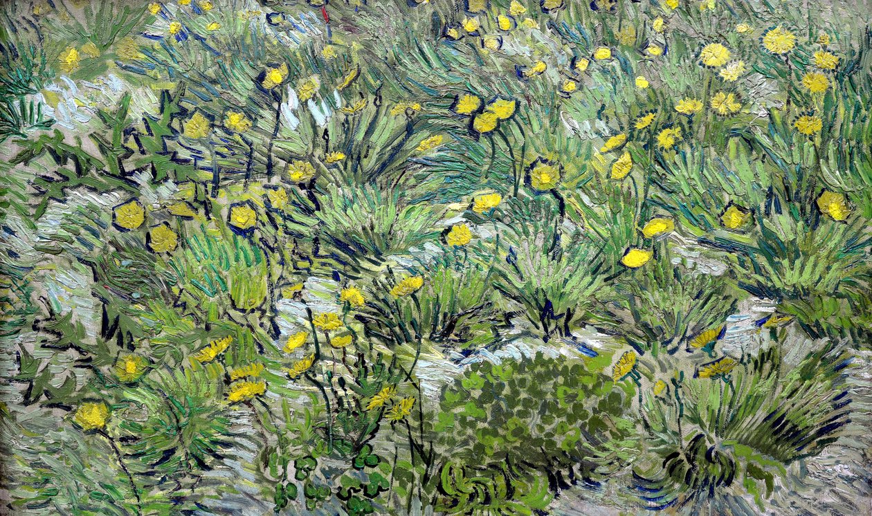 Los dientes de león, 1889 de Vincent van Gogh